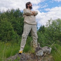 ДЖОГГЕРЫ МУЖСКИЕ ЛЕГКИЕ ДЖОГГЕРЫ МУЖСКИЕ ЛЕГКИЕ